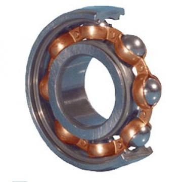 FAG Brazil BEARING 618/900-M Single Row Ball Bearings