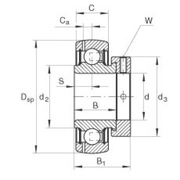 المحامل GRAE30-NPP-B-FA125.5 INA