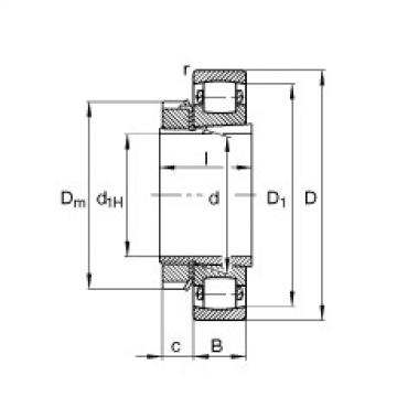 المحامل 20217-K-MB-C3 + H217 FAG