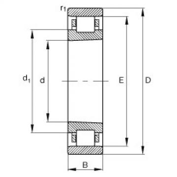 FAG محامل أسطوانية - N1020-K-M1-SP