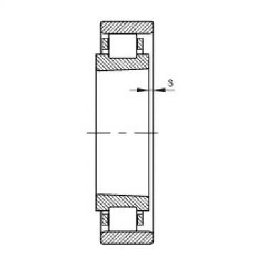 FAG محامل أسطوانية - N1036-K-M1-SP