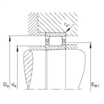 FAG محامل أسطوانية - N1036-K-M1-SP