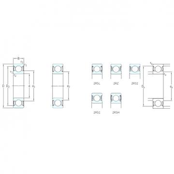 المحامل 62300-2RS1 SKF