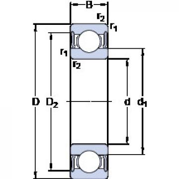 المحامل 6313-2RS1/HC5C3WT SKF