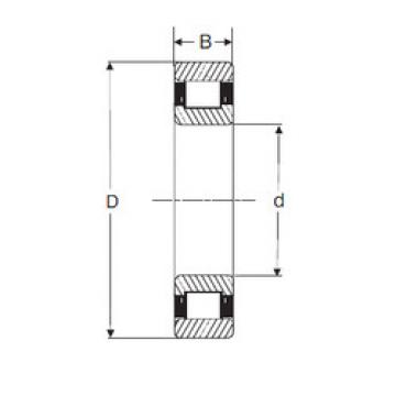 المحامل RXLS 4.3/4 SIGMA