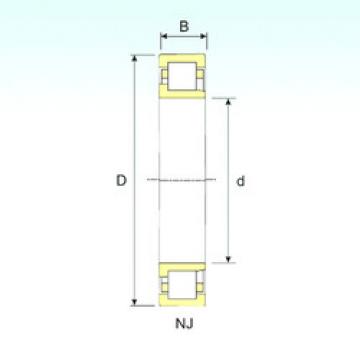 المحامل NJ 219 ISB