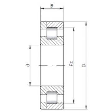 المحامل NP216 E CX