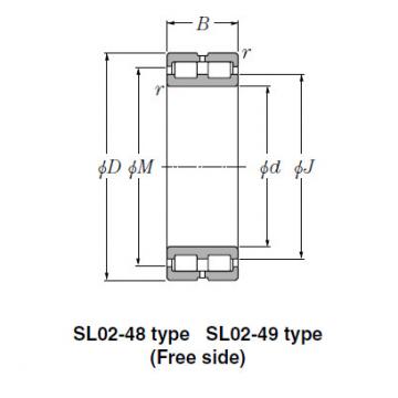 Bearing SL02-4956