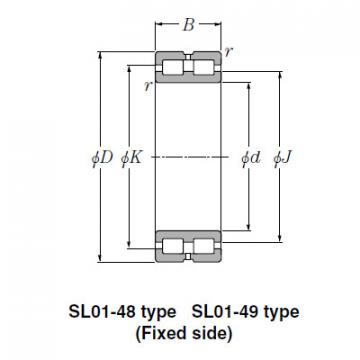 Bearing SL01-4848