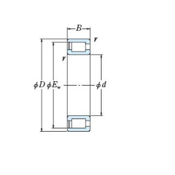 Bearing NCF18/530V