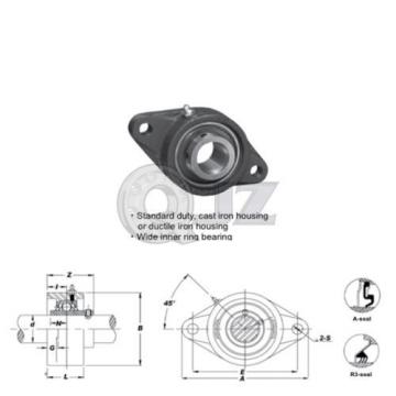 20 mm 2-Bolts Flange Units Cast Iron UCFT204 Mounted Bearing UC204 + FT204