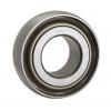 NTN Wind energy bearings DS210TT2