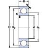 المحامل D/W SRI-1212 SKF