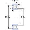 المحامل 6304-RSL SKF