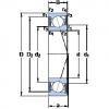 المحامل S71919 ACE/HCP4A SKF