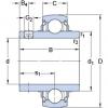 المحامل YAR 208-108-2FW/VA228 SKF