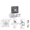 20 mm Square Flange Units Cast Iron UCF204 Mounted Bearing UC204+F204 New QTY:1 #2 small image