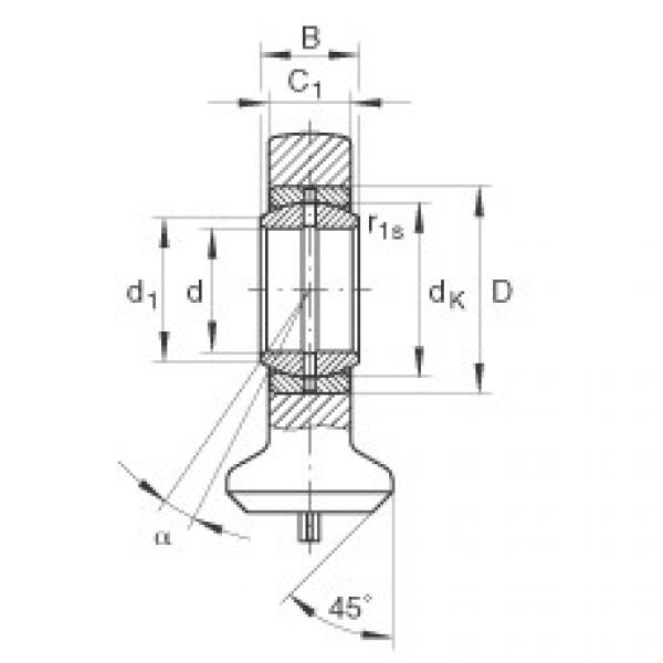 FAG Hydraulic rod ends - GK35-DO #1 image