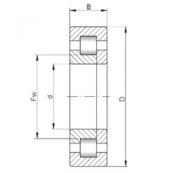 المحامل NUP308 E CX #1 image