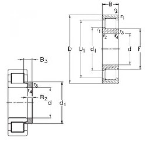 المحامل NJ219-E-MPA+HJ219-E NKE #1 image