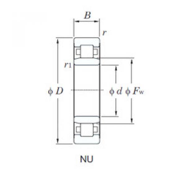 المحامل NU3238 KOYO #1 image