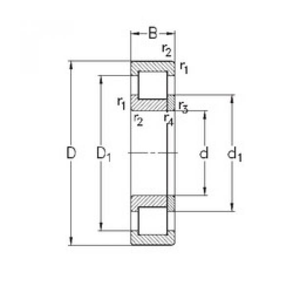 المحامل NUP313-E-M6 NKE #1 image