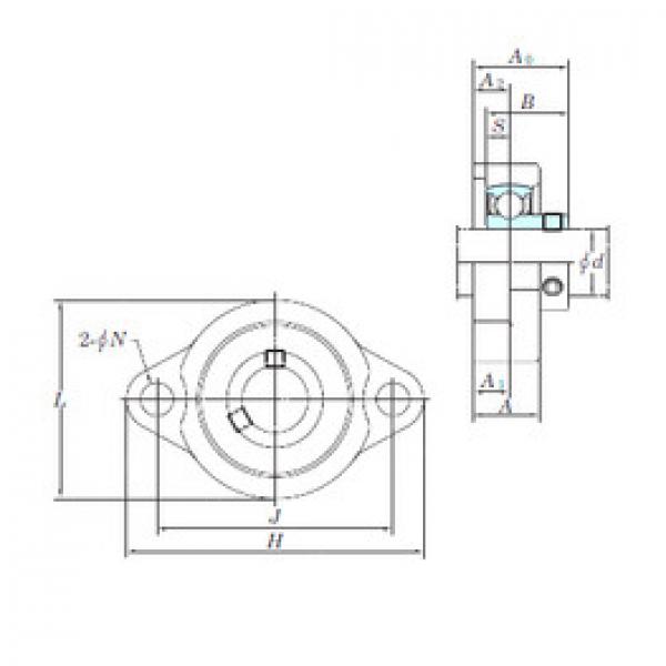 المحامل BLF205-15 KOYO #1 image