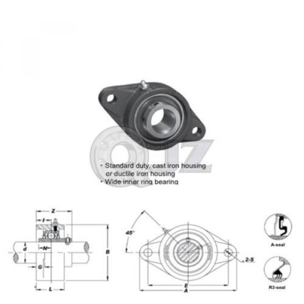 25 mm 2-Bolts Flange Units Cast Iron UCFT205 Mounted Bearing UC205 + FT205 #4 image